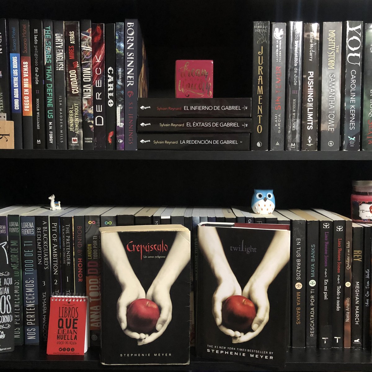 librosquedejan1's tweet photo. 💛 feliz sabado! 

Pasa por nuestro canal: https://t.co/F1m4cKrBaK

#twilight #crepusculo #edwardcullen #libros #librosqueenamoran #librosquedejanhuella #librosquenosgustan #lectores #libros https://t.co/EgFYXQYpKJ