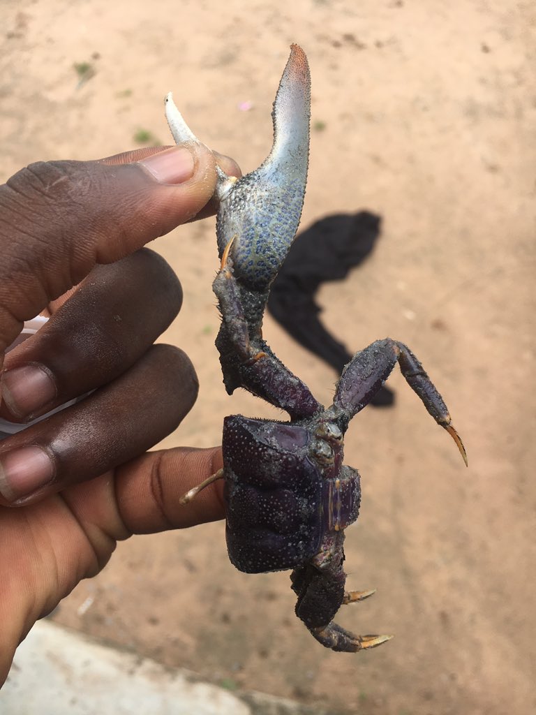 kebba Ceesay ✝️✝️ (@kebbace2112) on Twitter photo 