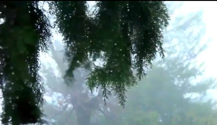 FrancGoodman's tweet photo. #raining #raindrops #ransounds #sleep #relax #insomnia #sleepaid #gentlerain #naturesound #USA #nature #windsound #Τουρκια #Lebanon #Beirut #صباح_الخير #لبنان
Go to sleep 3 hours of rain, thunder, wind, nature sounds🌧🌩plz subscribe🙏link below👇
https://t.co/ylXtKFavy7 https://t.co/QTR2yYDs1g