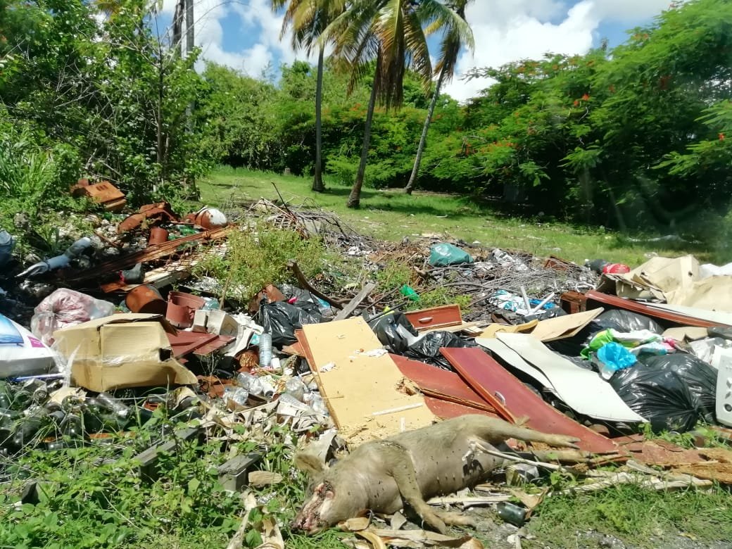 AnnL0v's tweet image. Bonjour @marysetzol, je vous avais déjà interpellé il y a 2-3 mois sur la décharge sauvage située rue Beaurenon prolongée, avant le HAD. Aujourd'hui, 06 septembre 2020, rien n'a changé si ce n'est en pire. Je vous épargne les odeurs et les nuisibles qui rôdent.
Que faites-vous ?