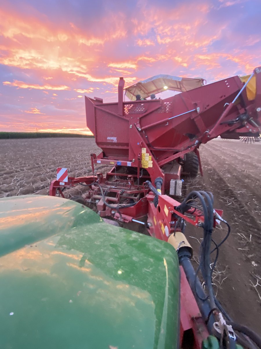 Arrachage des 🥔🥔