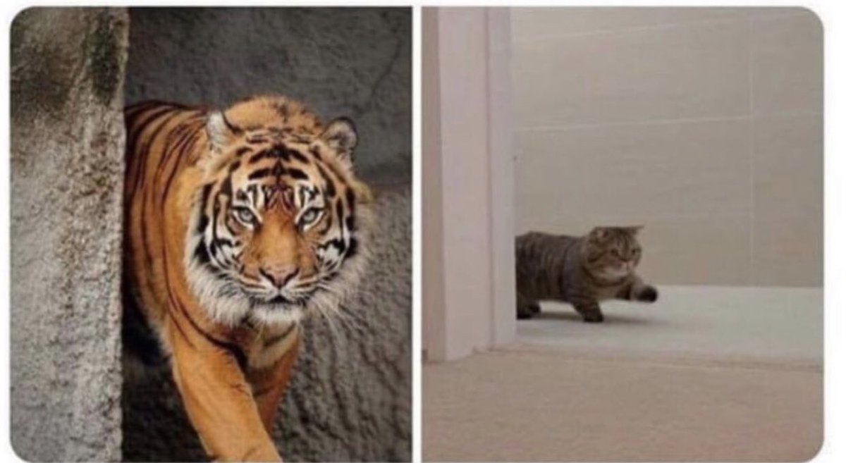 During the game:        After the game: