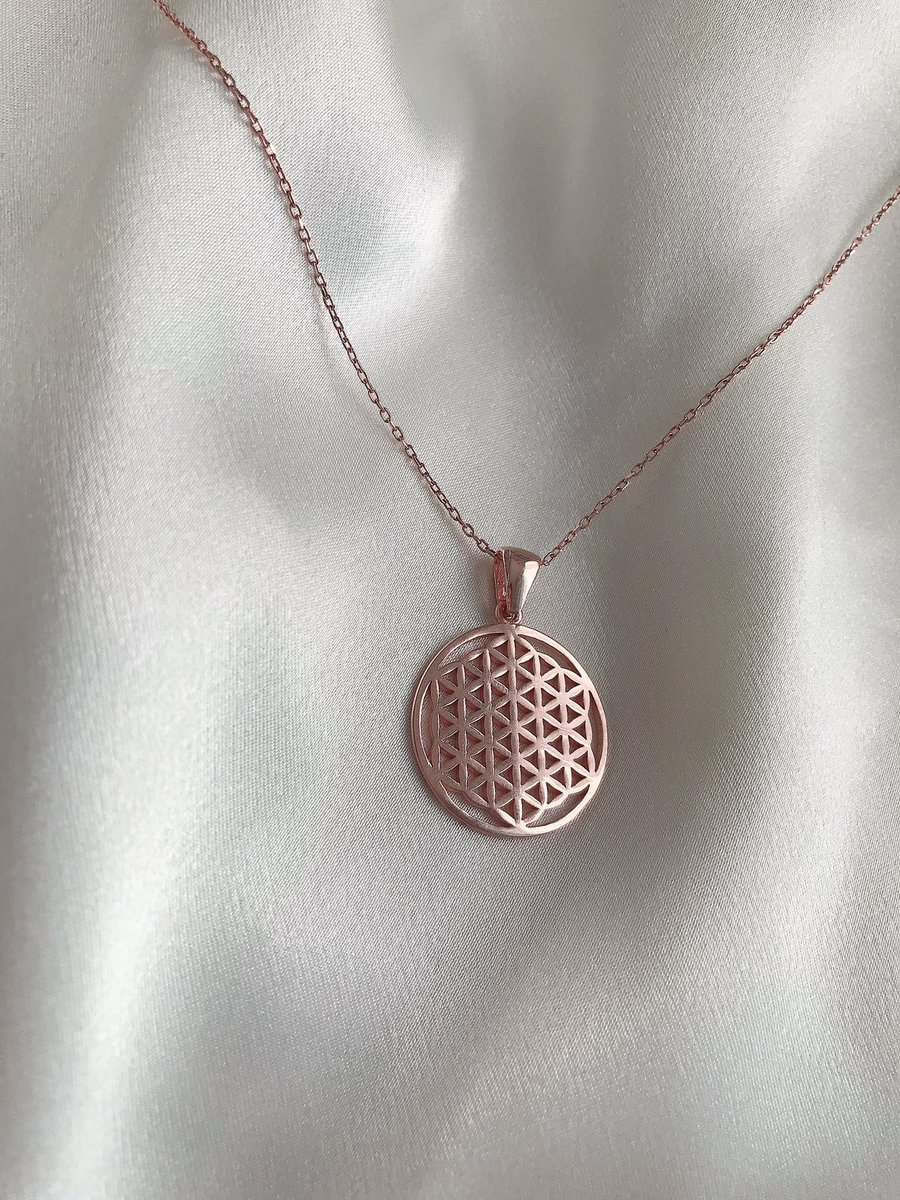 persepsilver's tweet photo. 925 ayar gümüş Yaşam Çiçeği ve Minimal Fil kolyemiz satışta..✨

Bilgilendirme ve sipariş için DM💌 https://t.co/ZNHCi7NjOA