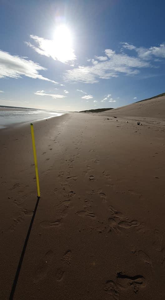 ColdstreamFC_'s tweet photo. The lads took part in their most scenic pre season session yesterday down at Cheswick sands 🤮🏖🌞..... https://t.co/Pjrf7zWiPN