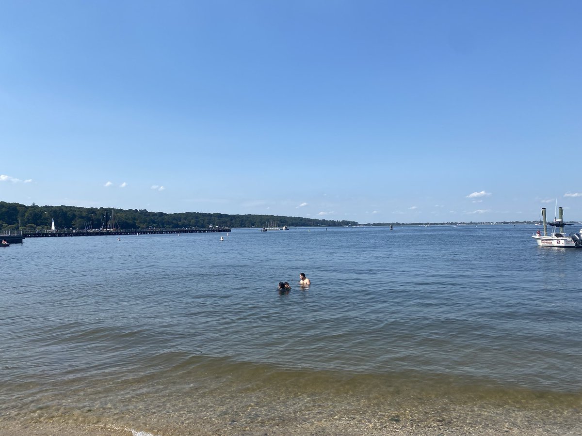 MesaSean's tweet photo. Beach day.... and car swiped day. But insurance deemed it not my fault and Iโll probably get my deductible back. #MesaFail https://t.co/BRvdoTiAcV