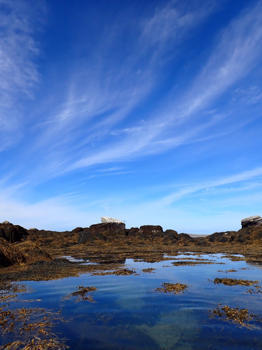 callyyeatman's tweet photo. I like that the clouds seem to be responding to this lone white rock above the tide line. #skerries #seaweed #soundofharris #berneray #uist #sundayafternoon #morewindiscoming https://t.co/ugjfCtGdCa