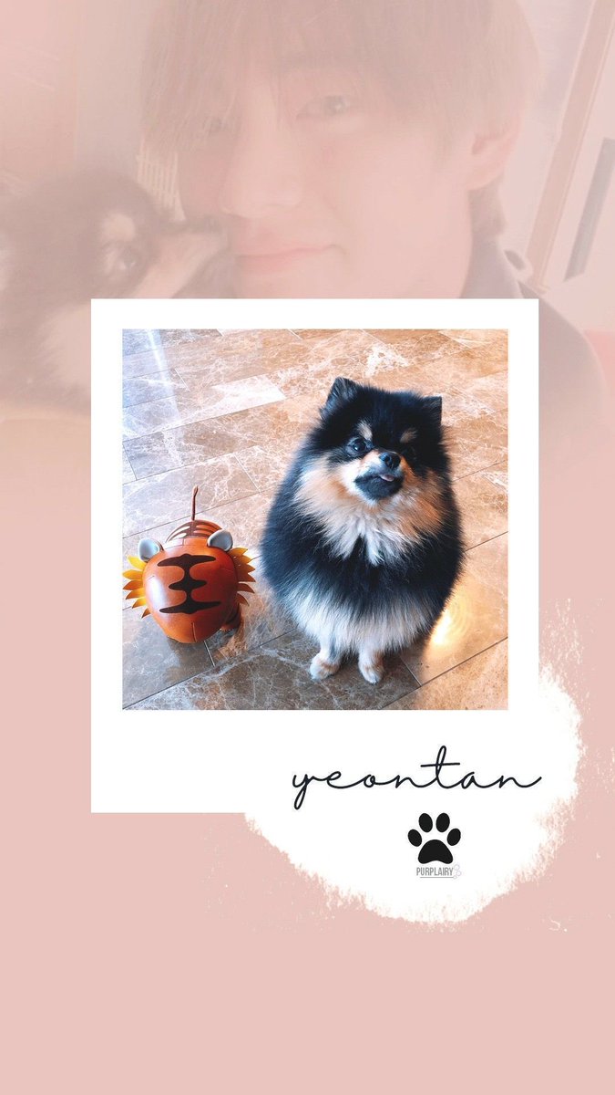 EuOT7phoria's tweet photo. Also missed:
#3YearsWithYeontan
#4YearsWithLie
#4YearsWithBegin
Lots to celebrate while streaming #BTS_Dynamite @BTS_twt
ยฉ๏ธpics good old Google ๐
Enjoy all festivities #BTSARMY https://t.co/f2BwmIJ7wb