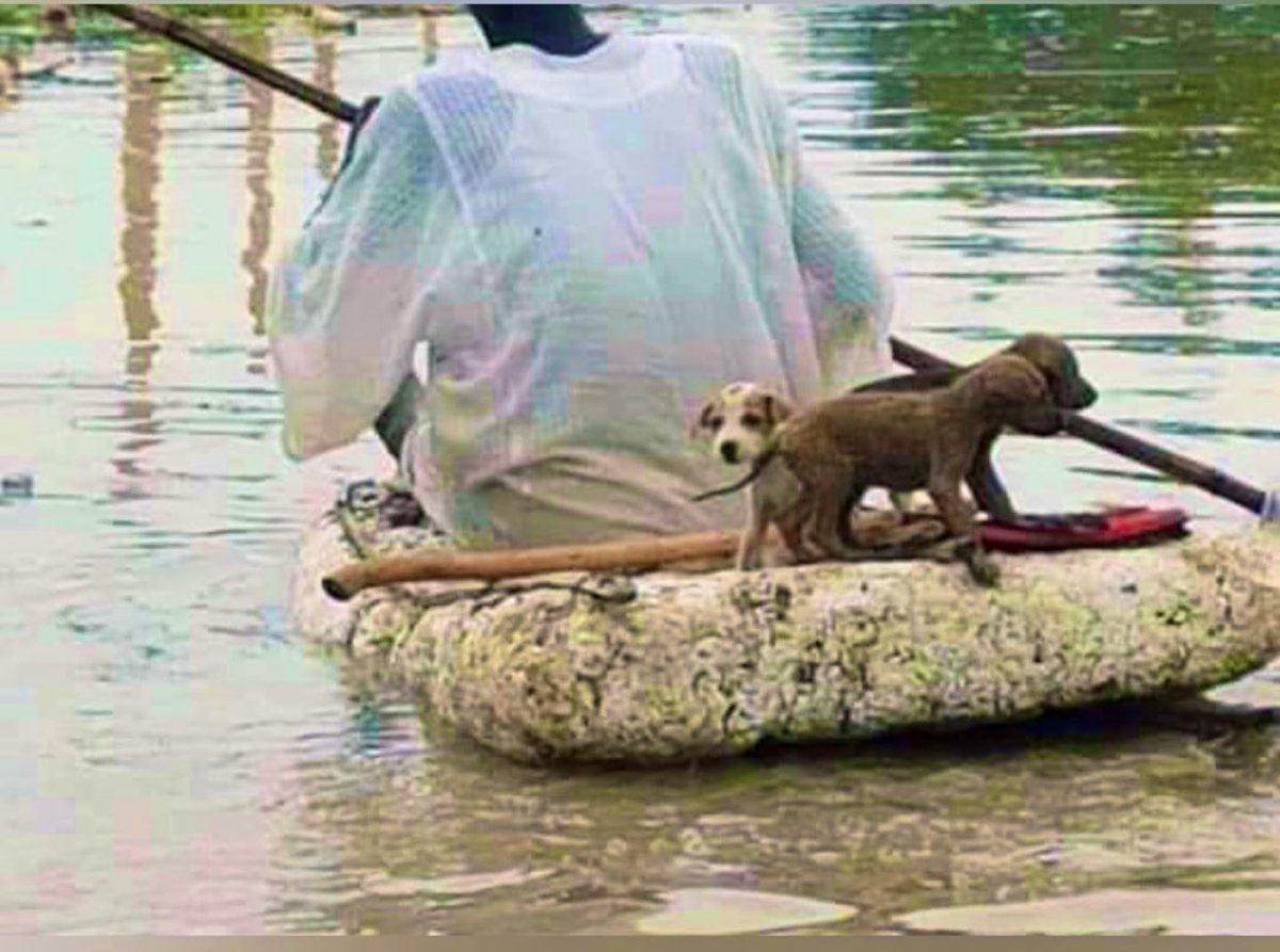 _AB_Elshaikh's tweet photo. اللهم انت تعلم بحالنا وضعفنا وقلة الحيله فاعطف علي السودان من مشرقه إلي مغربه ومن شماله إلي جنوبه #فيضان_السودان https://t.co/bFWBLmltVN
