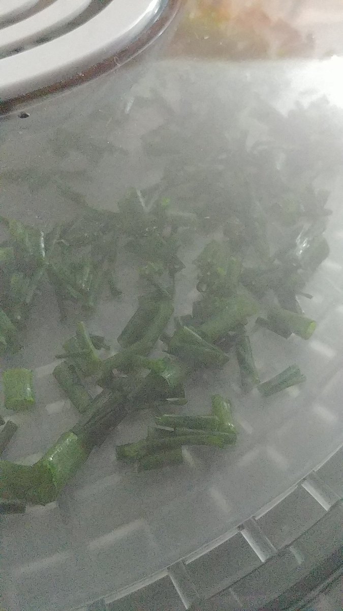 NotPrepper tweet picture