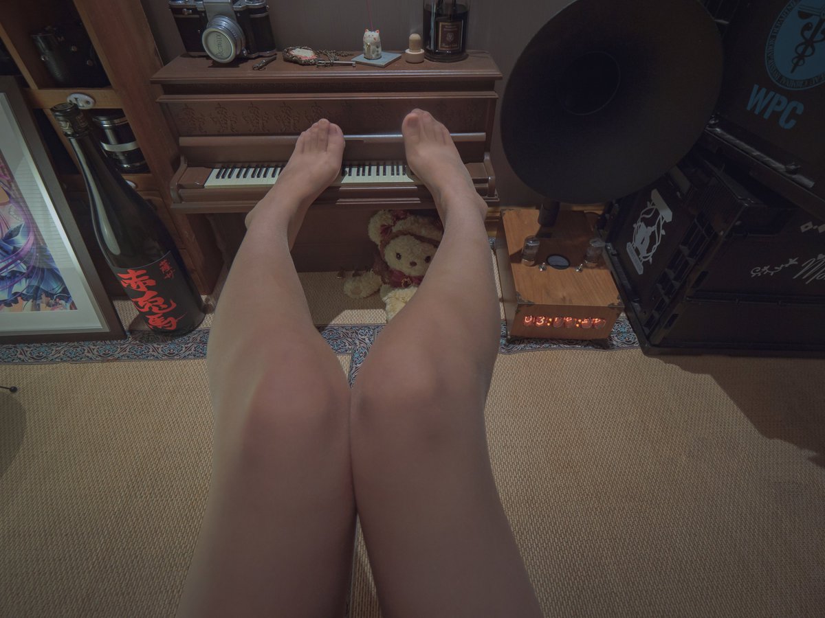 konohanarinrin's tweet photo. #長毛りんりん

这种自拍风格一看就非常琳琳，怎么能这么琳琳！袜子是来自新锐袜社・梦奇遇@Dream_QY的初恋砂色。

@dianhuji https://t.co/kuc5mZQY6k