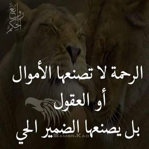 C4Xui's tweet photo. #محمد_رعفيت1 https://t.co/0psXeJUynq