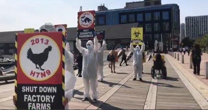 DxEverywhere's tweet photo. “THIS IS NOT A DRILL!”
A shocking performance in Toronto, Canada is sounding the alarm about the direct link between animal exploitation and pandemics.
#ThisIsNotaDrill
#CancelAnimalAg
#DxE #RosesLaw

WATCH VIDEO HERE:
https://t.co/8NN7yFwKbH https://t.co/5e1zmveujY