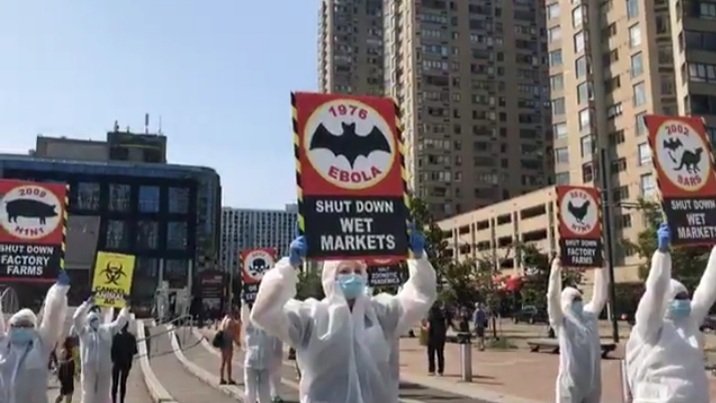 DxEverywhere's tweet photo. “THIS IS NOT A DRILL!”
A shocking performance in Toronto, Canada is sounding the alarm about the direct link between animal exploitation and pandemics.
#ThisIsNotaDrill
#CancelAnimalAg
#DxE #RosesLaw

WATCH VIDEO HERE:
https://t.co/8NN7yFwKbH https://t.co/5e1zmveujY