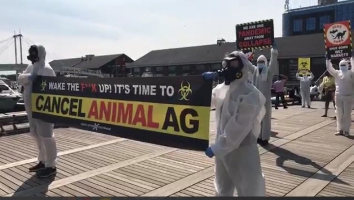 “THIS IS NOT A DRILL!”
A shocking performance in Toronto, Canada is sounding the alarm about the direct link between animal exploitation and pandemics.
#ThisIsNotaDrill
#CancelAnimalAg
#DxE #RosesLaw

WATCH VIDEO HERE:
m.facebook.com/story.php?stor…