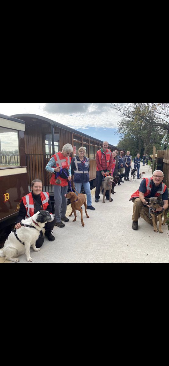 ukcsd's tweet photo. 1/2 Just finished another fantastic Scent Instructor Course. It’s great to be joined by so many different dogs and guardians a special thank you to you all. It was an honour helping out a real hero, “Fabulous Finn” and his handler Dave Wardell. Finn is one of the old and bold. https://t.co/jRpCcGBqTb
