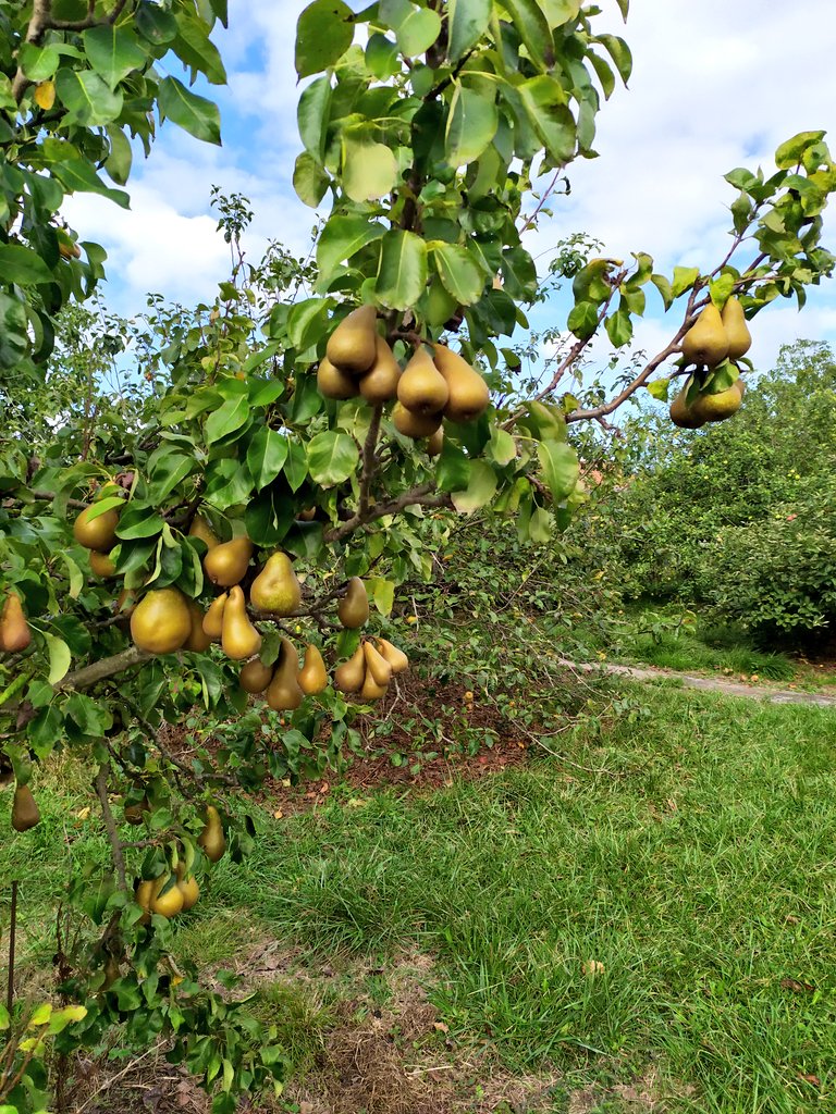 Igor Ferreras tweet media