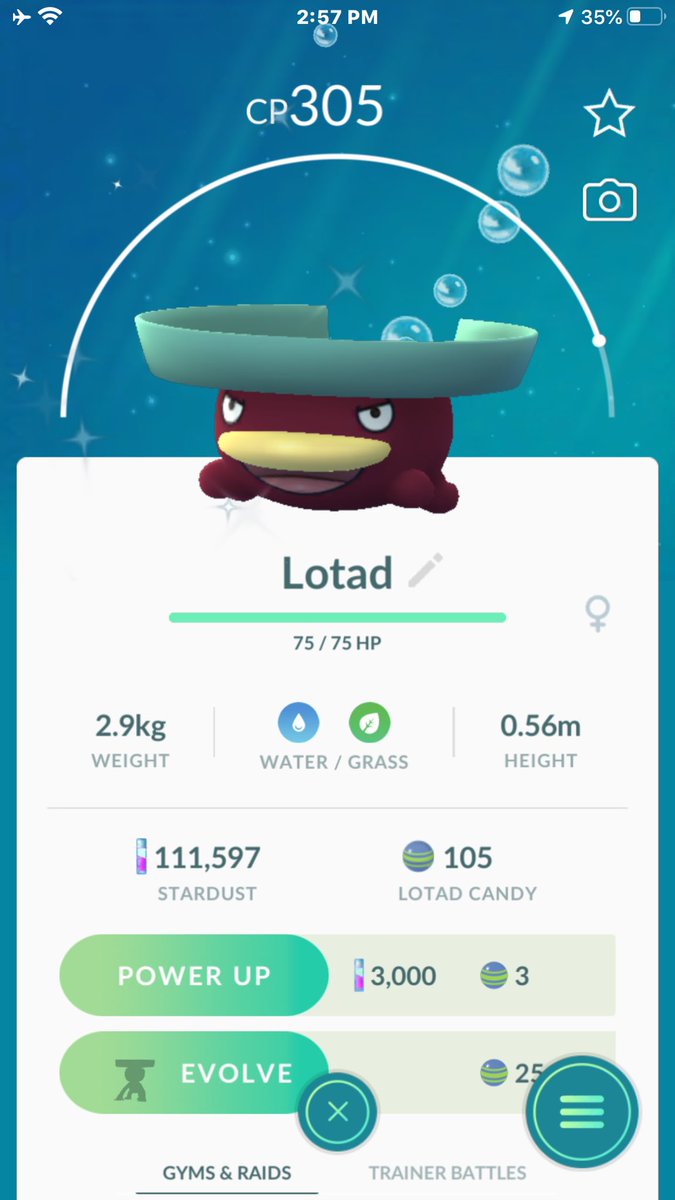 TheShinyLab's tweet photo. The shiny luck over here is crazy! Even on the second account aka “TheShinyLabs” 😎 Let’s keep this energy going for the next round of 5 star raids! https://t.co/kXFQwgbvR8