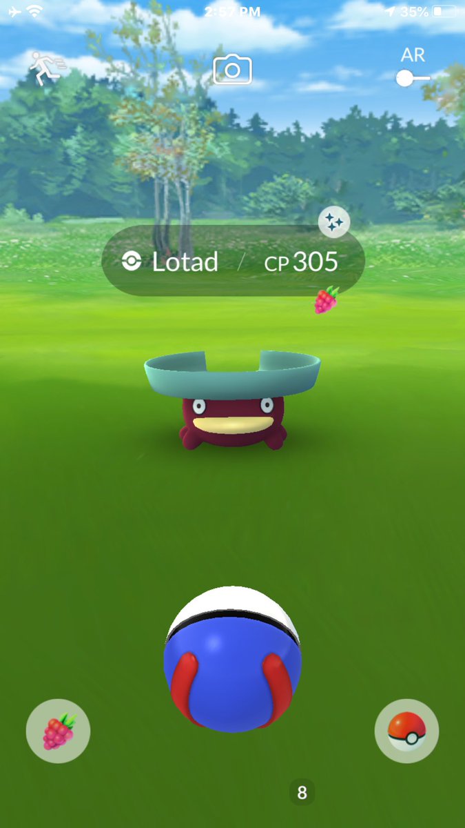 TheShinyLab's tweet photo. The shiny luck over here is crazy! Even on the second account aka “TheShinyLabs” 😎 Let’s keep this energy going for the next round of 5 star raids! https://t.co/kXFQwgbvR8