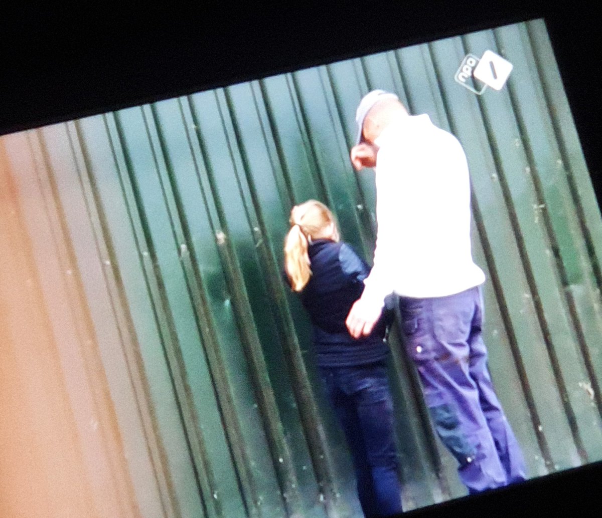 LbThijssen tweet media