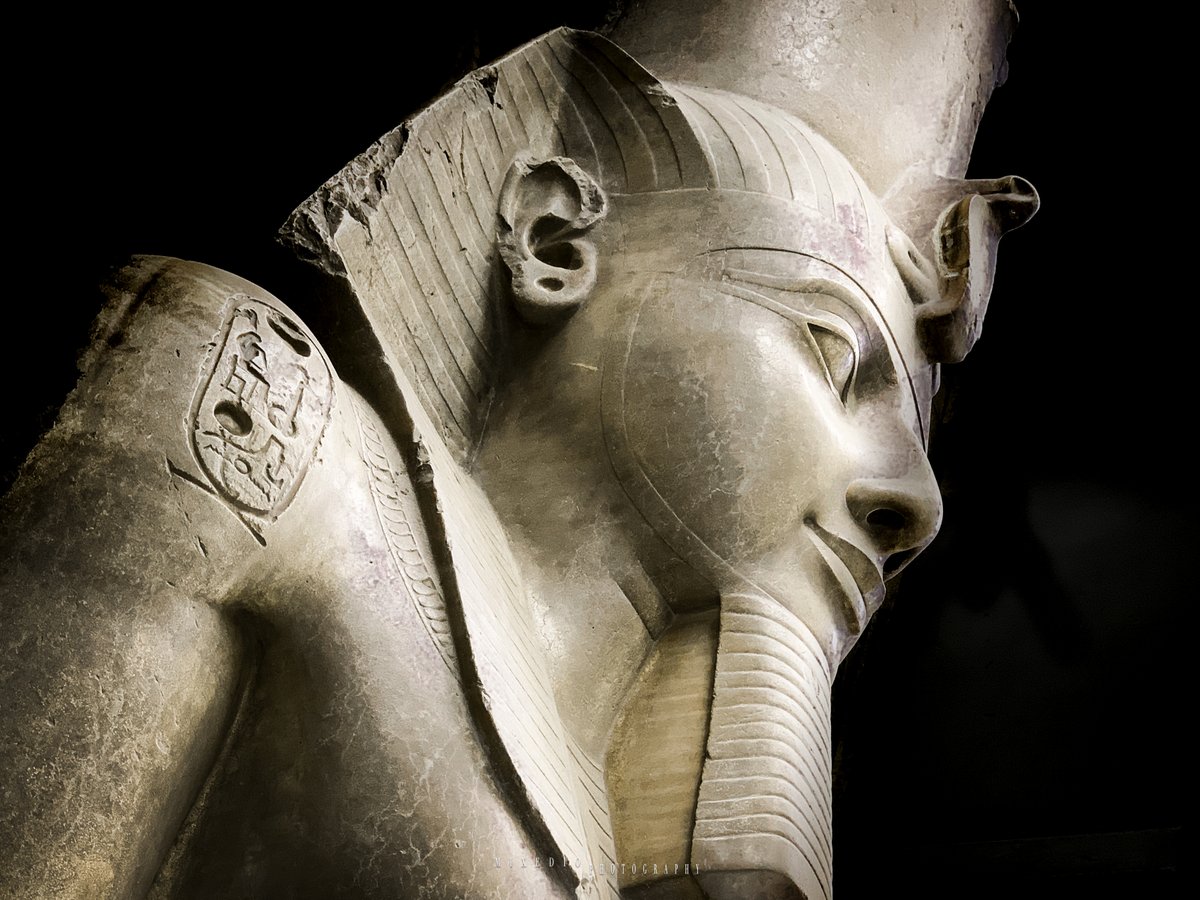 IreEgySociety's tweet photo. Check out the latest bite-sized article, all the photos and subscribe with your e-mail at our Irish Egyptology Society website: https://t.co/U37qCG1mYh
#Ramesses2 #Memphis #AncientEgypt #Egyptology #MitRahina
@k8shep @Mutey_says @GawadHeba @chrisnaunton @JacksonEmmet https://t.co/oOUrc8ixS1
