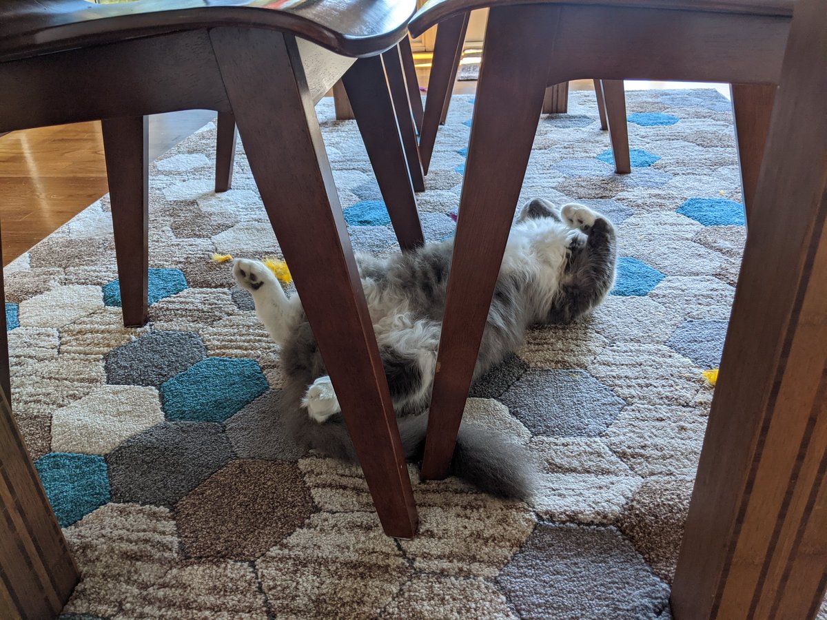 meghatalk's tweet photo. lazy sunday https://t.co/LDHqQxFIiu