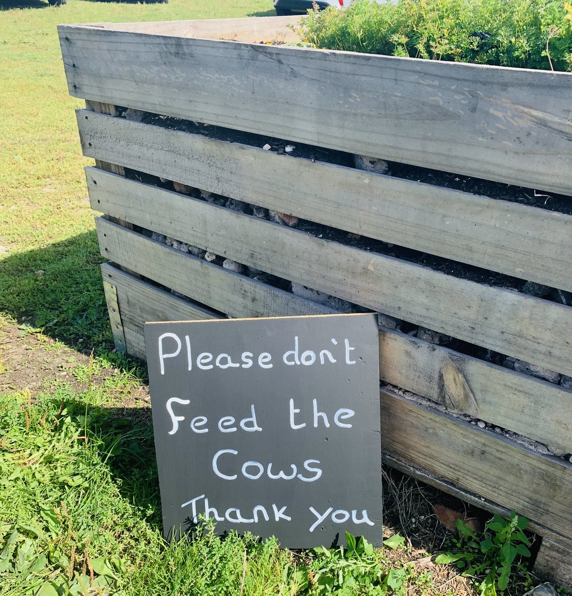 cocoabean77's tweet photo. Great day picking fruits @meopham @KentFarmers #sundayvibes https://t.co/kfetMB5Pi1