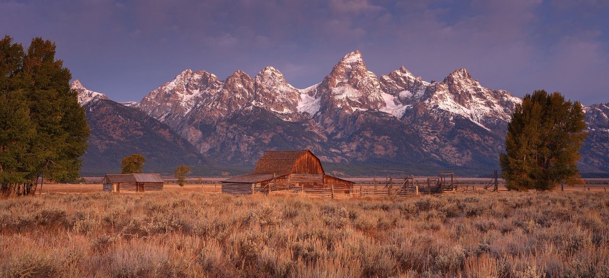 TheVideoExpress's tweet image. 