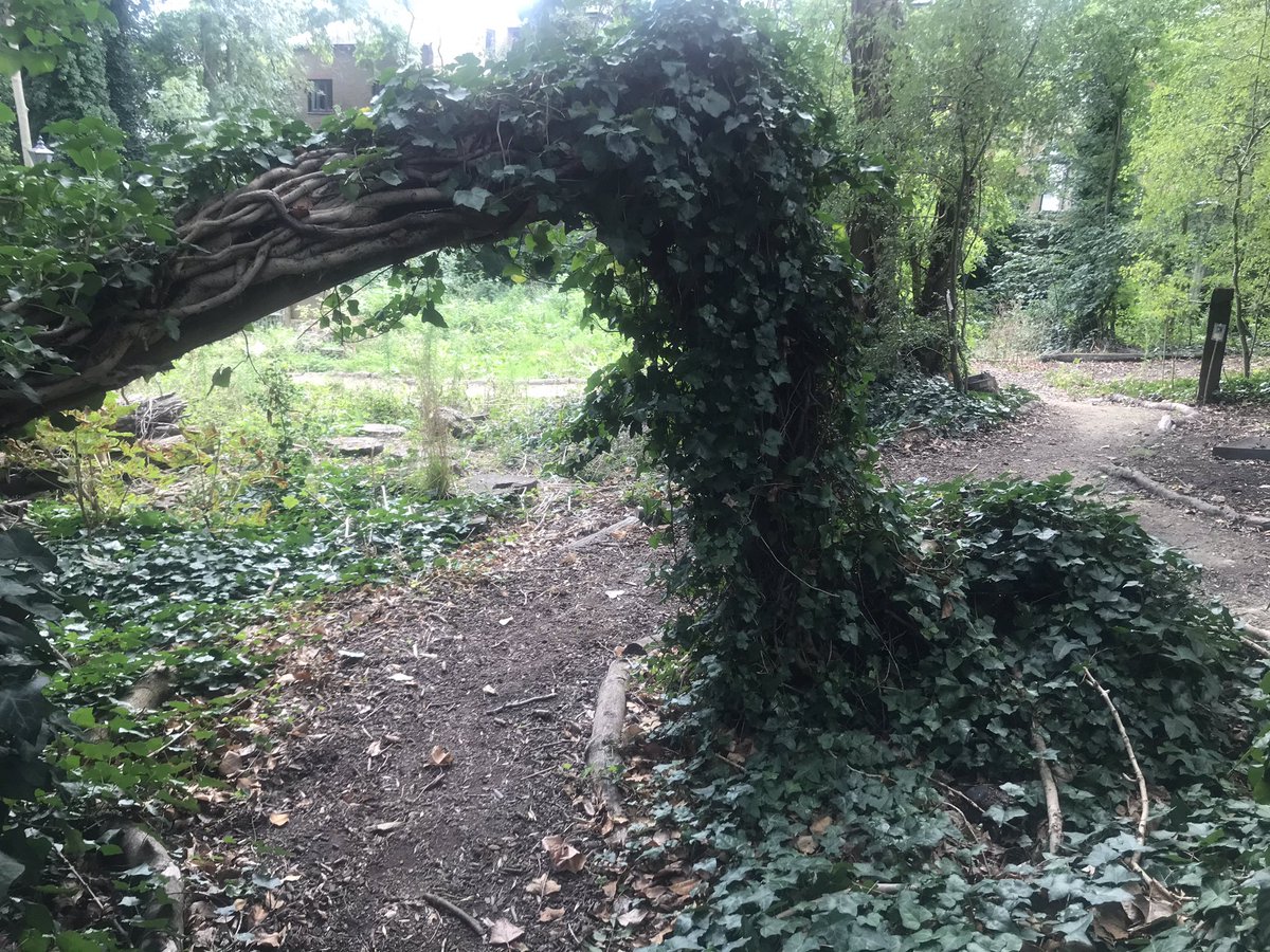 KateMoloughney's tweet photo. Ramblin’ through #NorfLondon to catch the #Cricket in #HighgateWood with @ocn1all https://t.co/IW11lRI0K4