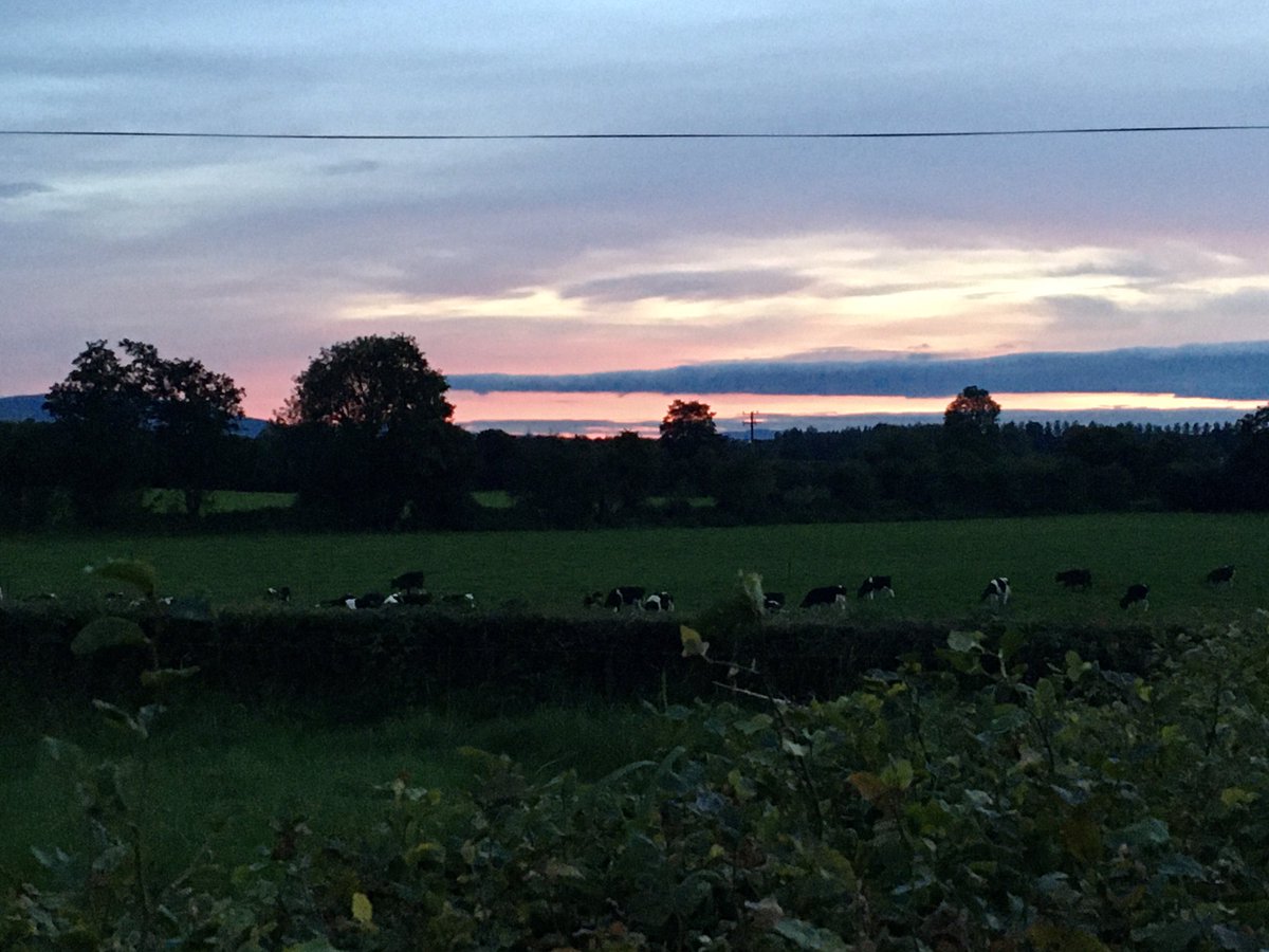 Really hoping this is a good sign 🌾🌾🌞🌞#harvest2020 @GlanbiaIreland