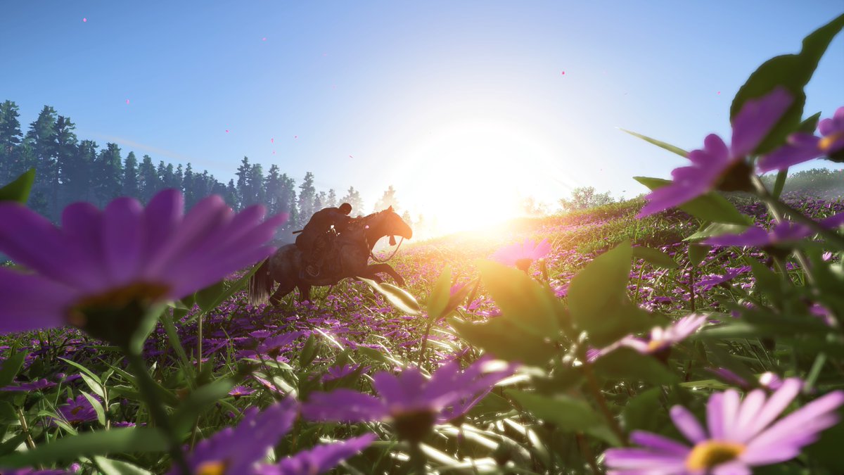 L4ur4__99's tweet photo. I hope you like the photos :D #GhostOfTsushima #PS4share #DechartGames https://t.co/X8myjp7vTy