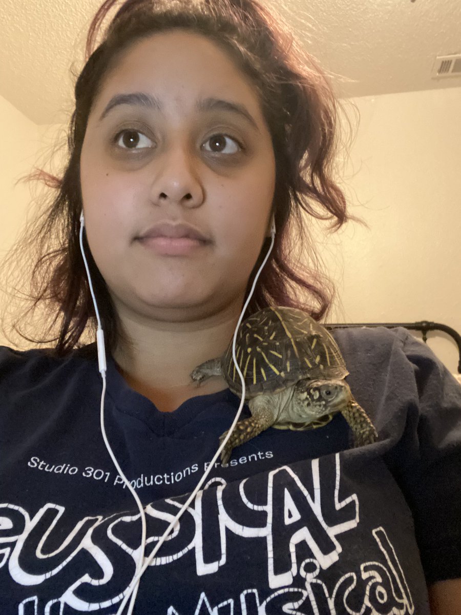 CastCritter's tweet photo. When you’re just trying to be on your zoom call, but your turtle is crashing it 😂😂😂 

#boxturtles #crittercast #zoomcrasher #reptiles #pets https://t.co/36Rj3XoEG7