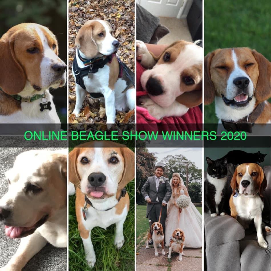 ♥Emily Turnbull♥ (@emilykate444) on Twitter photo 