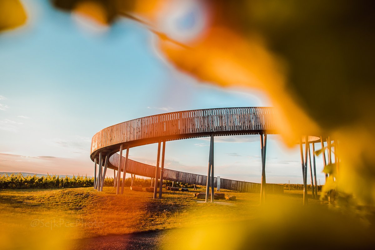 sejkPce's tweet photo. Jiný pohled. Rozhleda Kobylí vrch.
#lookouttower #southmoravia #CzechRepublic #kobylivrch #vino #kobyli #SummerVibes
https://t.co/3pB5mWNV9F
https://t.co/3pB5mWNV9F https://t.co/2R9DTKQYD3
