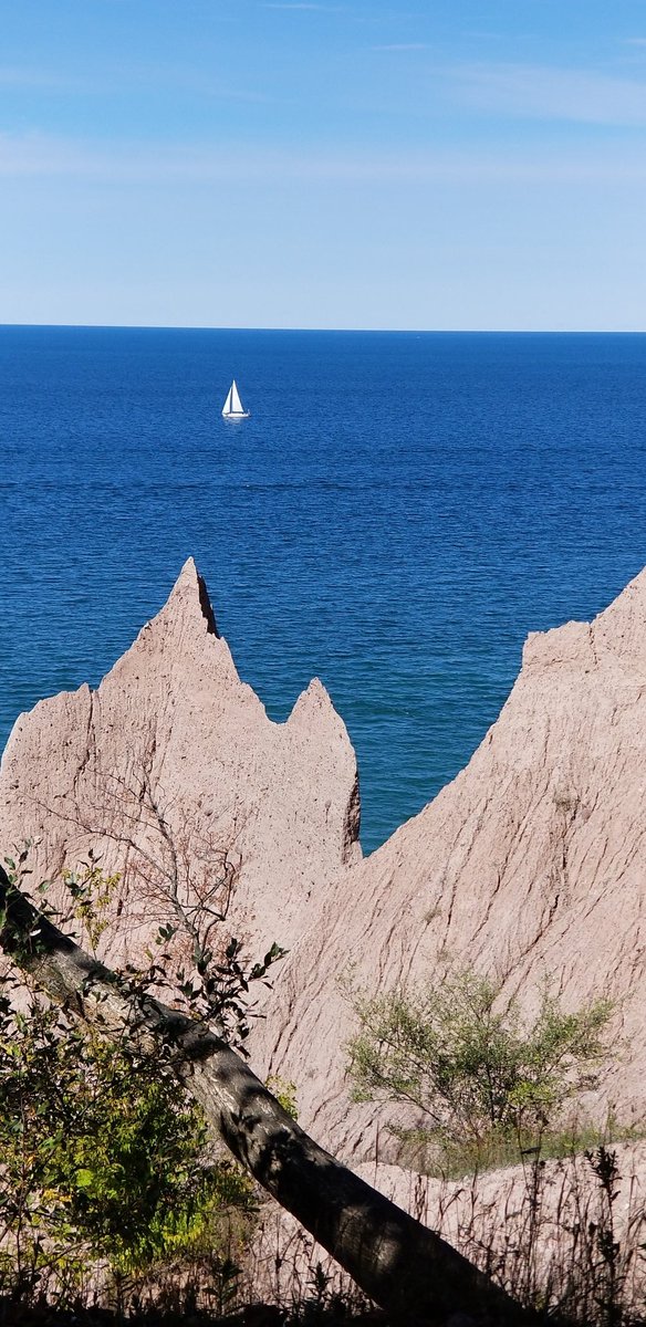 Supt Farr tweet media