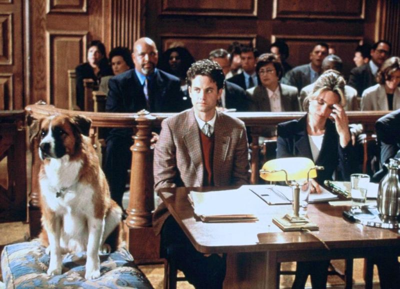 109. You Lucky Dog (1998) dir. Paul Schneider this has got to be one of the worst premises for a dcom ever. it doesnt make any logical sense and leaves the viewer with a million questions, the plot unfolds so weirdly, and the main character is unfunny and unlikeable0.5/10