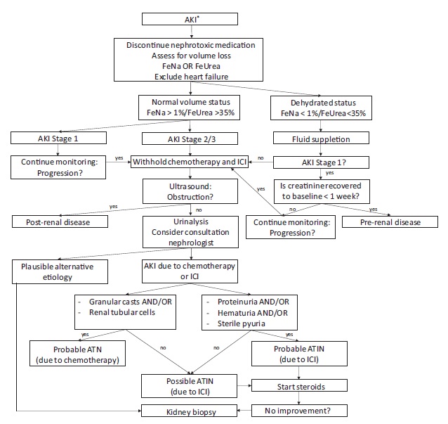 gbanna74's tweet photo. How to manage #renaltoxicity from #chemotherapy and #immunotherapy for #nonsquamous #NSCLC. It was a privilege to comment for @JTOonline this enlighting guide for clinical practice from the Rotterdam group with @Alfdoc2 and @DralexGva #LCSM @OncoAlert https://t.co/g7gGJKCIRZ https://t.co/oftQILddBF