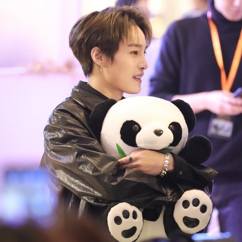 WayV YangYang with plushies/stuffies. A thread.