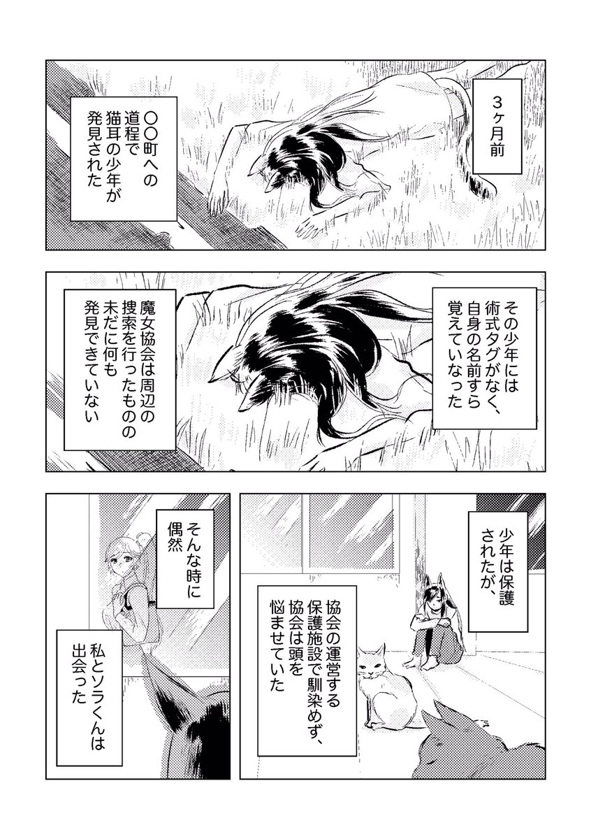 Uzivatel ししまる じづじづ 低浮上 Na Twitteru おはようございます 説明回の続きと次回へのつなぎ回です 1 5はpixivでどうぞ お姉さんと猫少年 6 猫耳 おねショタ 創作マンガ 漫画が読めるハッシュタグ マンガが読めるハッシュタグ オリジナル漫画 Web