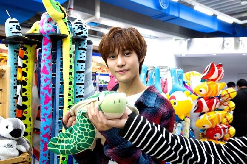 WayV YangYang with plushies/stuffies. A thread.