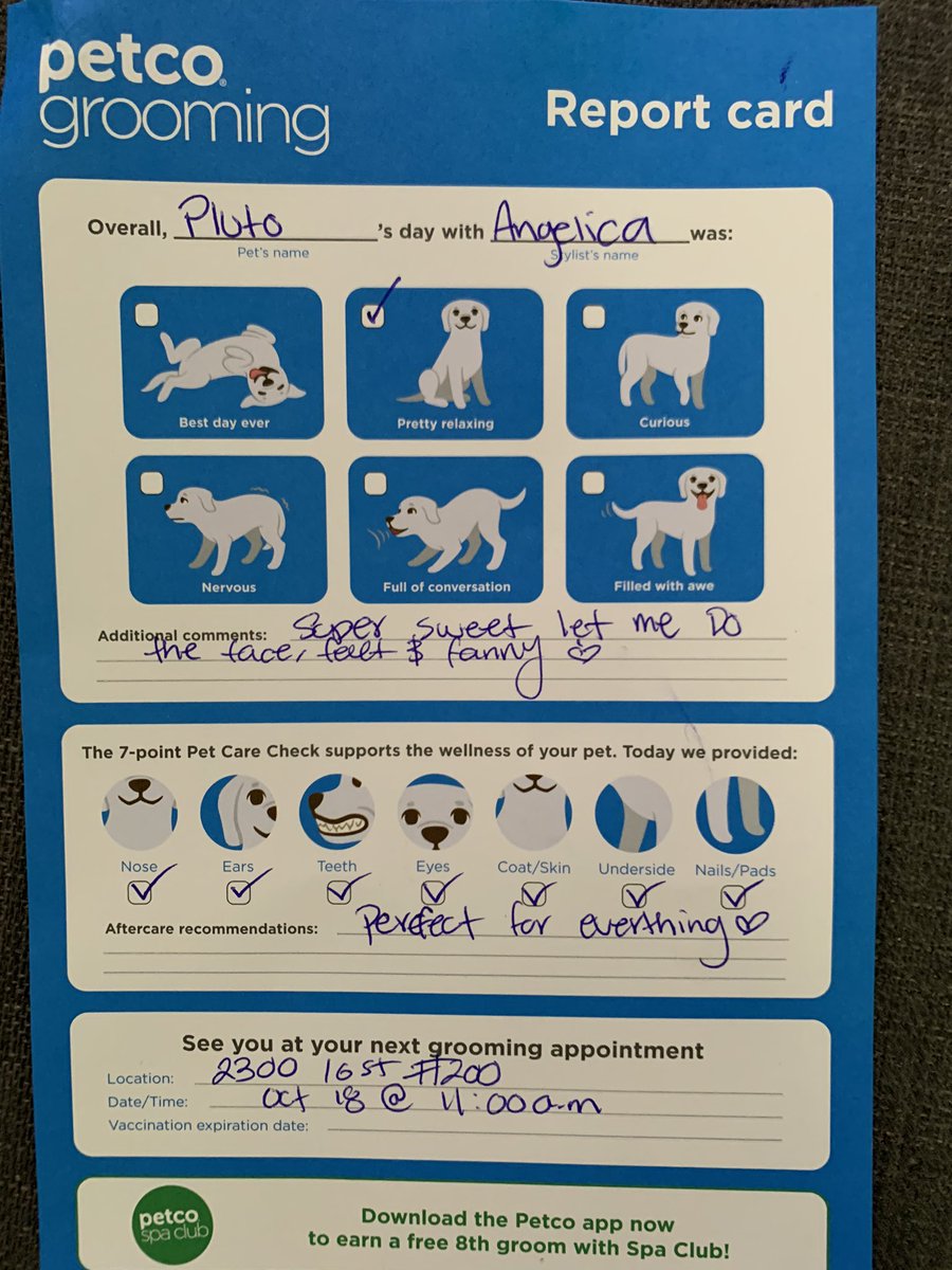 Kind of report card all Indian parents want to see 🙌🏻⭐️🏆 #ProudMom