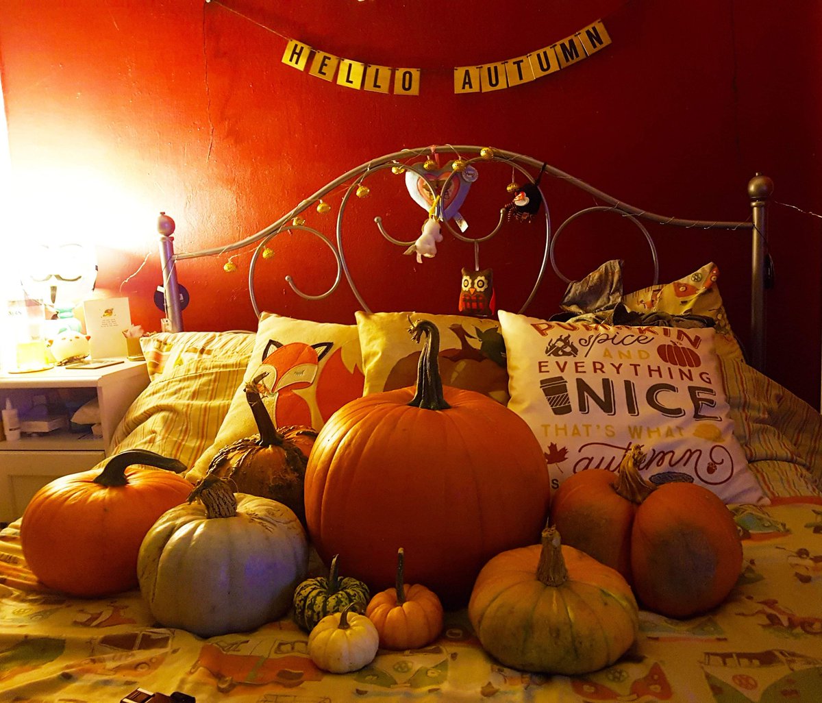 Louna_Stone's tweet photo. @BlogosphereM In terms of mine, I am so happy with my #BlogosphereCommunityChallenge cover shoot image as it is so autumnal and I worked so hard on it! I also find it so funny how I ended up taking it! 🥰🍂🍁
I also have some on my phone, some from me & some pinterest 🍁 #BlogosphereChat https://t.co/XcTfjfn07w
