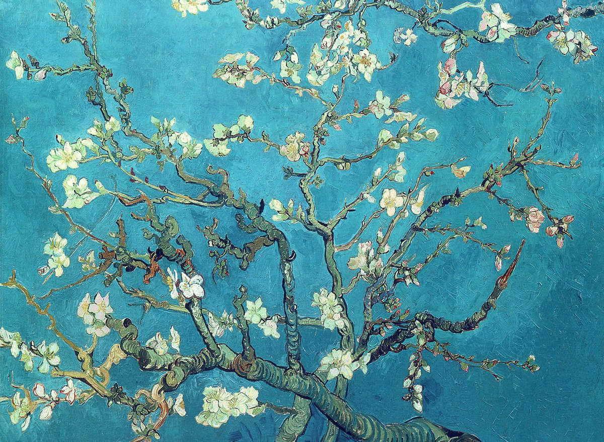 Branches with Almond Blossom, 1890 #vincentvangogh #japonism