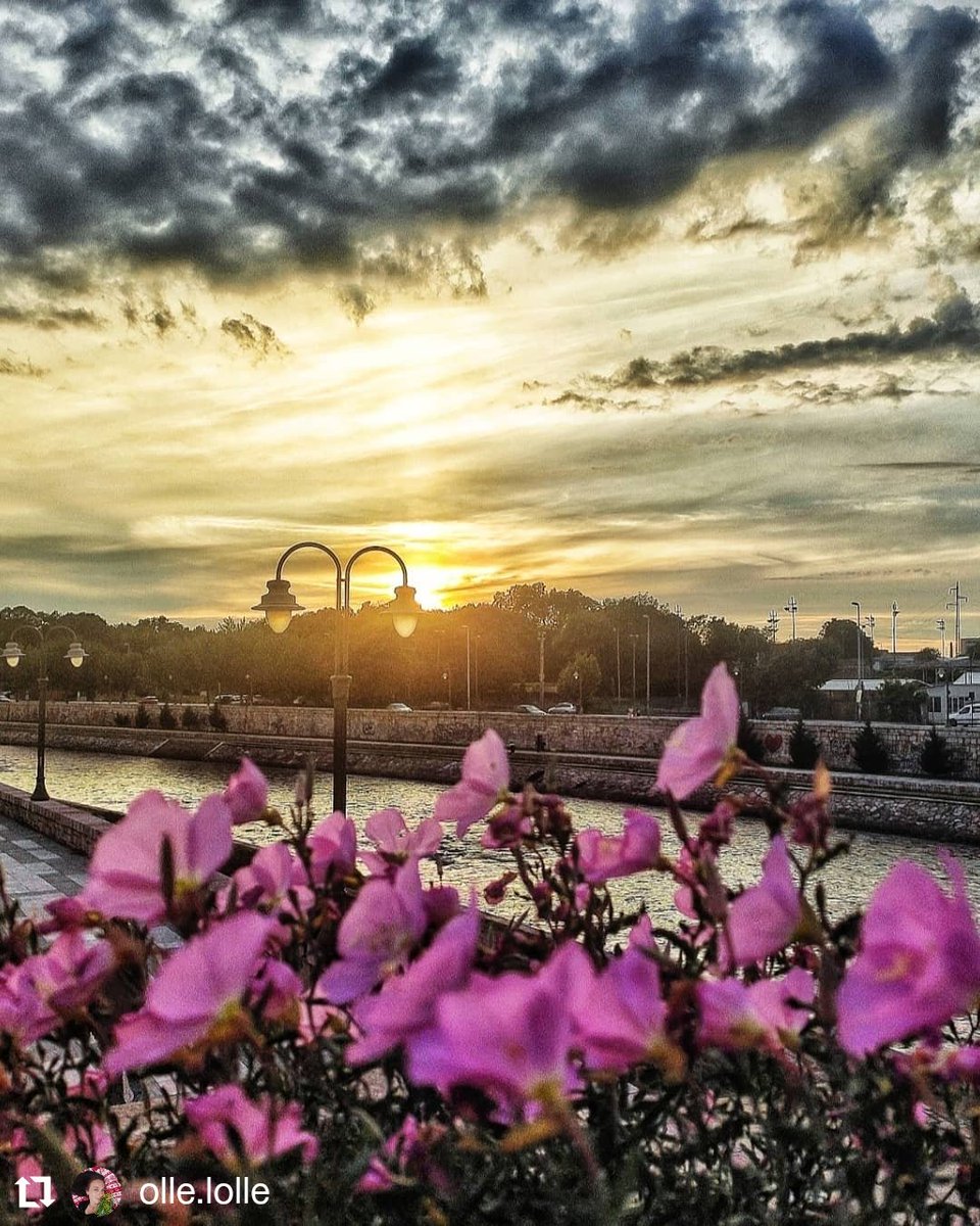 Moram priznati da zalazak sunca u Nišu ume da bude fantastičan, zar ne? #sunsetcolors 
.
#wheretoserbia #zalazaksunca #cvece #gradnis #nis #srbija🇷🇸 #oblaci #nebo #nisava #tvrdjava #discoverserbia