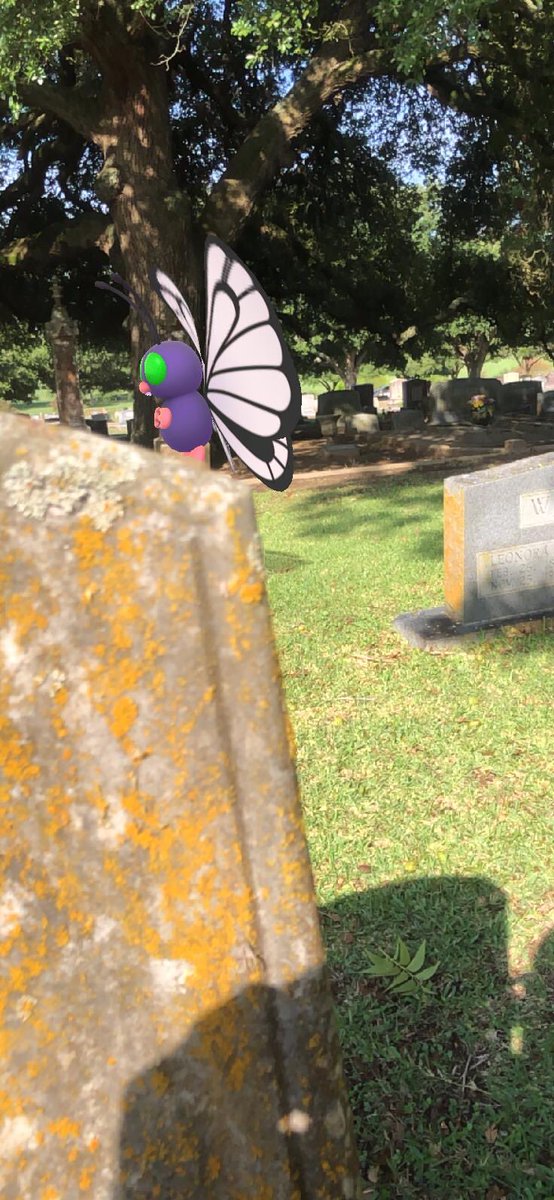 chemistdw's tweet photo. Anybody try reality blending? Turned out better than I thought it would. #pokemon #pokemongo #gosnapshot #pokemongosnapshot #realityblending @_ZoeTwoDots https://t.co/XGIyRBi7Fi