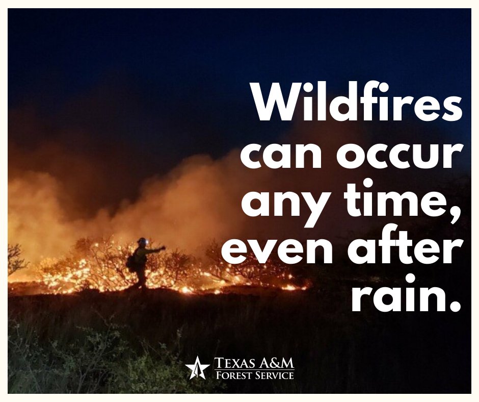 TXForestService's tweet image. 🔥 Check if your community has an approved communal burn pile or has designated days for debris pickup.
🔥 Prepare a safe burning site by clearing at least 10 feet around the burn site of any vegetation or other burnable material. 

Learn more: bit.ly/1N8qhGa.