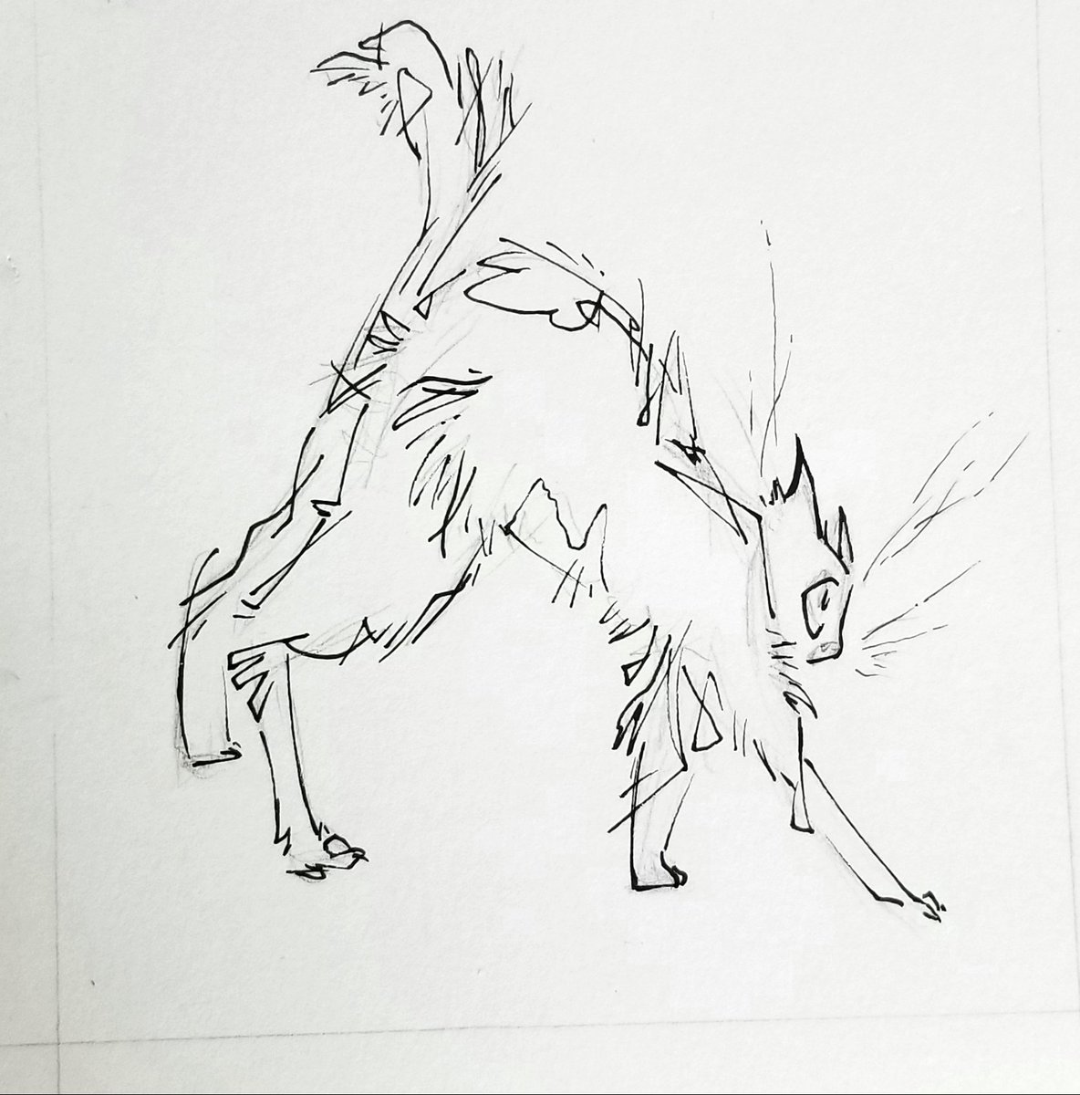 NezuDraws's tweet photo. #Cats #CatGestures #GestureDrawing #CatDrawing https://t.co/hE2nNdUW1F