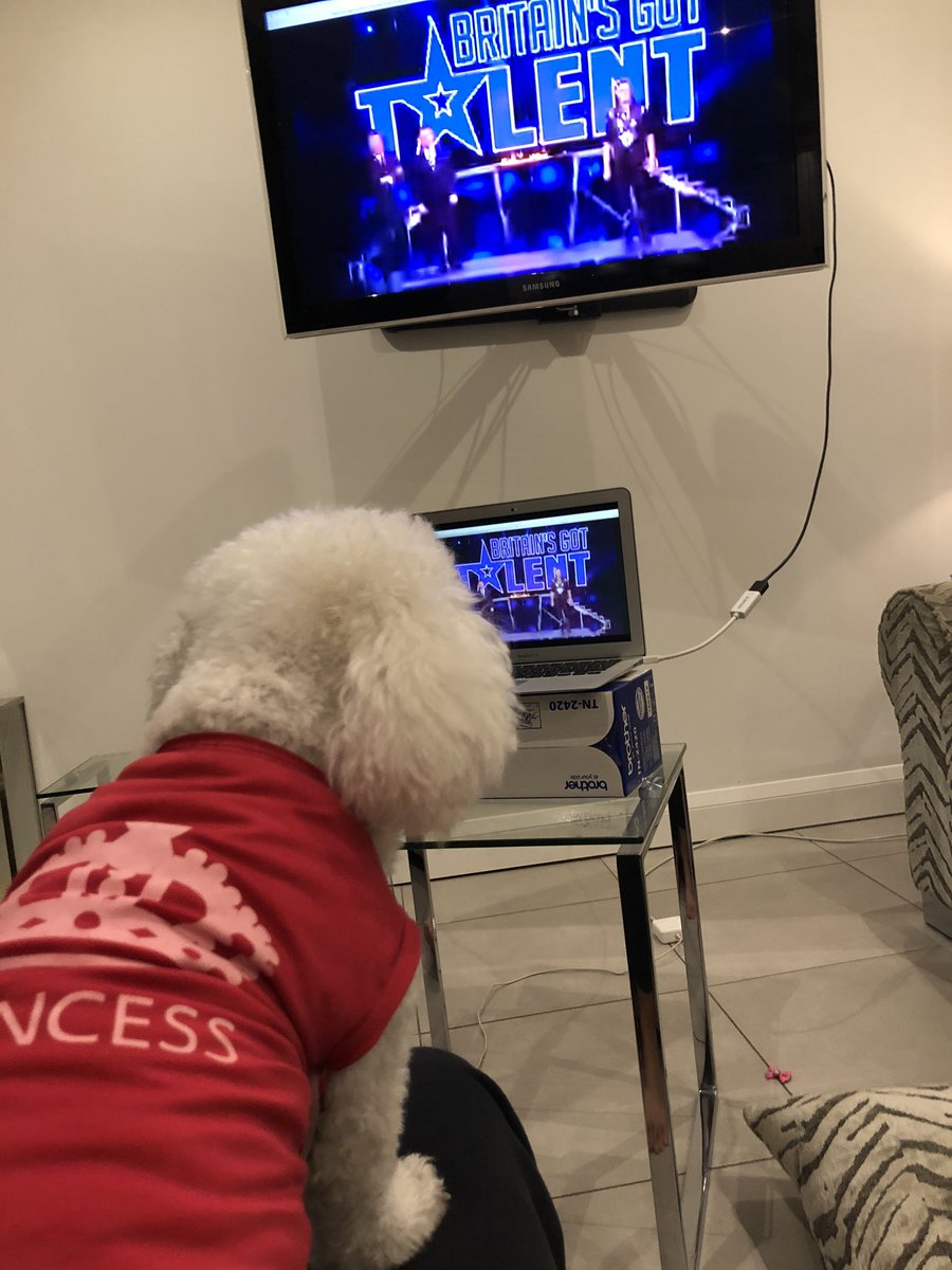 juliedewdrop's tweet photo. @Andyshowbiz #BGT2020 from Bailey Greenwood aka princess. From Chadderton. Not sure if we are on the teli. Give us a shout 👌 https://t.co/CaQaL0XMkP