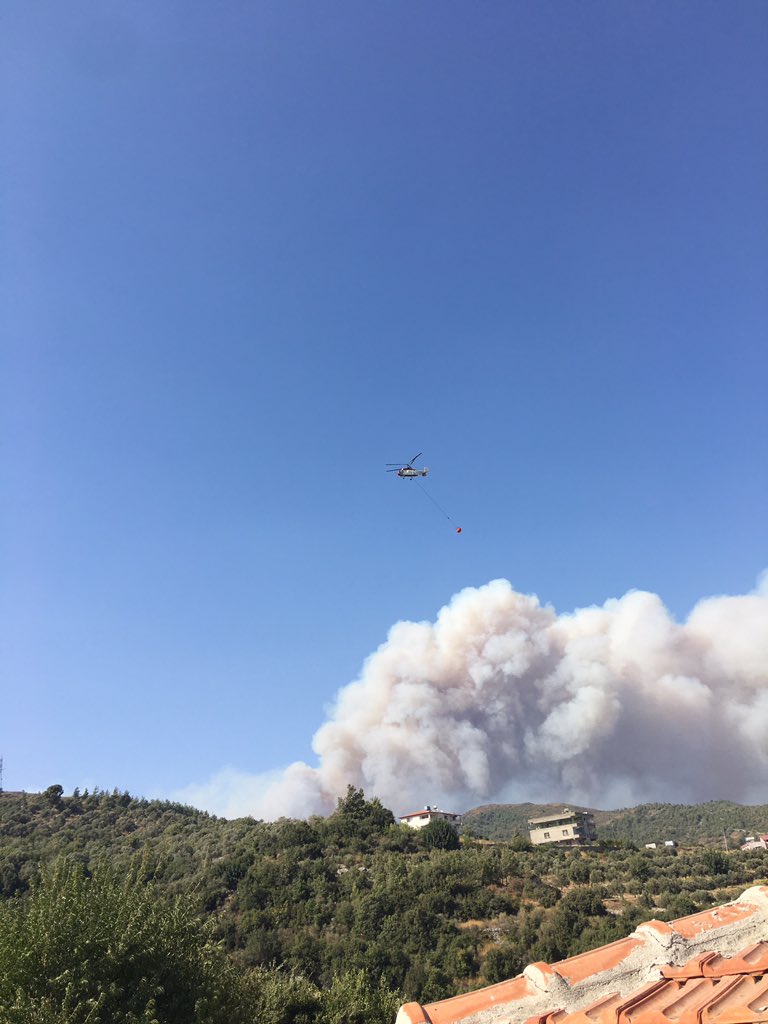 umutcimenn's tweet photo. Amanoslar 3 gündür yanıyor. 100 yıllık oksijen yok oldu. bu orman eski haline 100 yılda gelemez #hatay https://t.co/9op7cvBGPZ