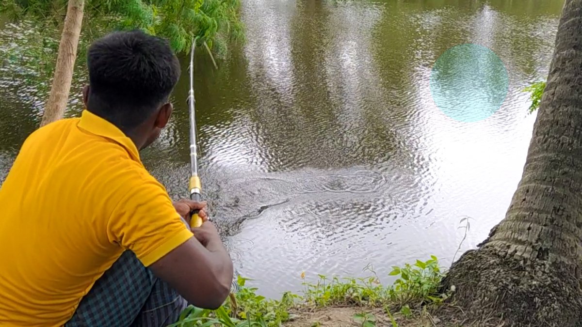 RemiExpress tweet media