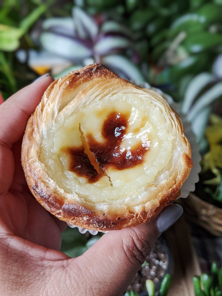 Argenplath's tweet photo. Excellent bday adventures in Leduc! Grabbed Portuguese tarts from Prestigio bakery (thanks for the 2 extras @atbfinancial + @lindork!) and perlite (it's so hard to find) for the propagation station at Canadian Tire (the dino lawn decor is hilarious)! #atbgoodnessgrows https://t.co/LdCvtiYB3k